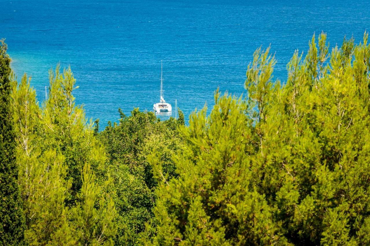 Villa Niki 2 Cavtat Bagian luar foto